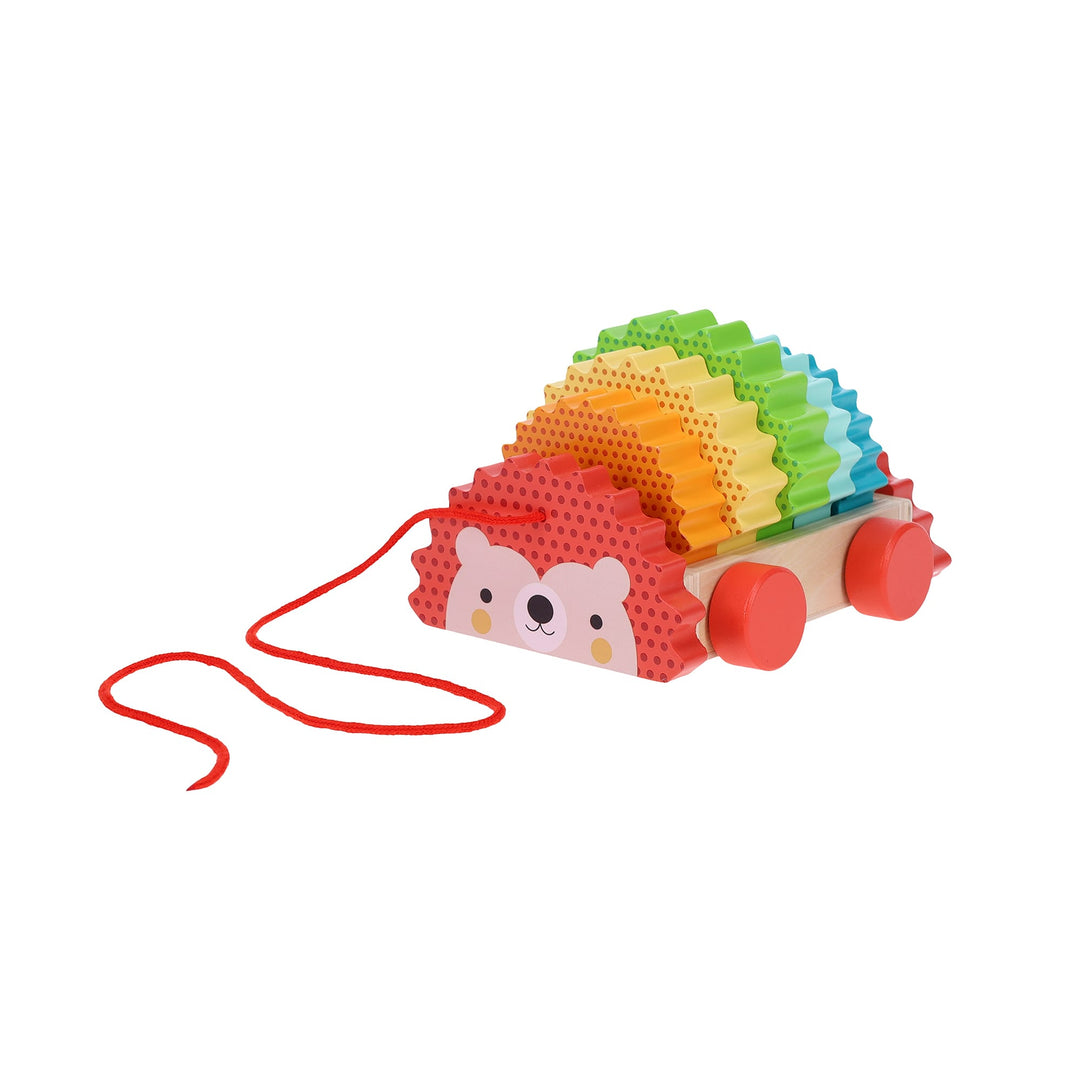 Rainbow Hedgehog Wooden
