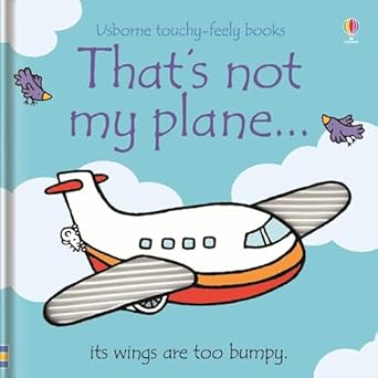 Thats Not My Plane