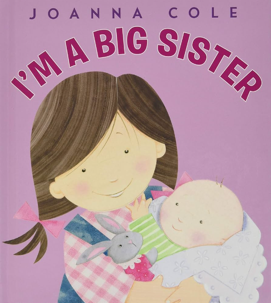 I'm a Big Sister Book