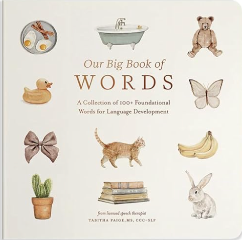 Our Big Book of Words