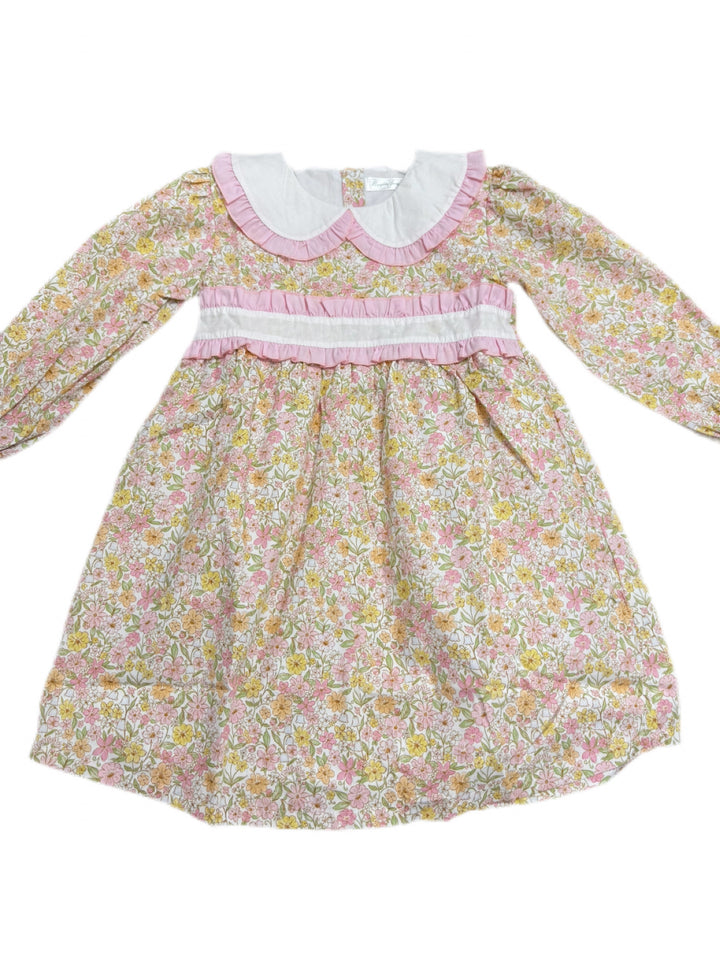 Caroline Liberty Fall Dress