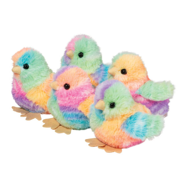 Rainbow Chick Assortment