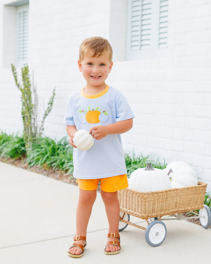 Harvest Trio Short Set