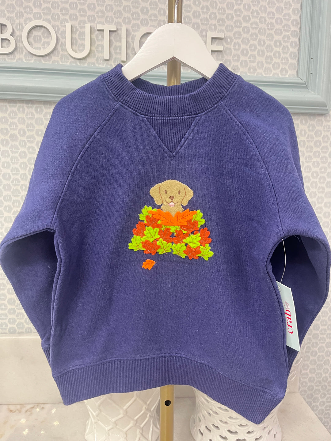 Smiley Crab: Navy Puppy Leaf Pile Sweatshirt