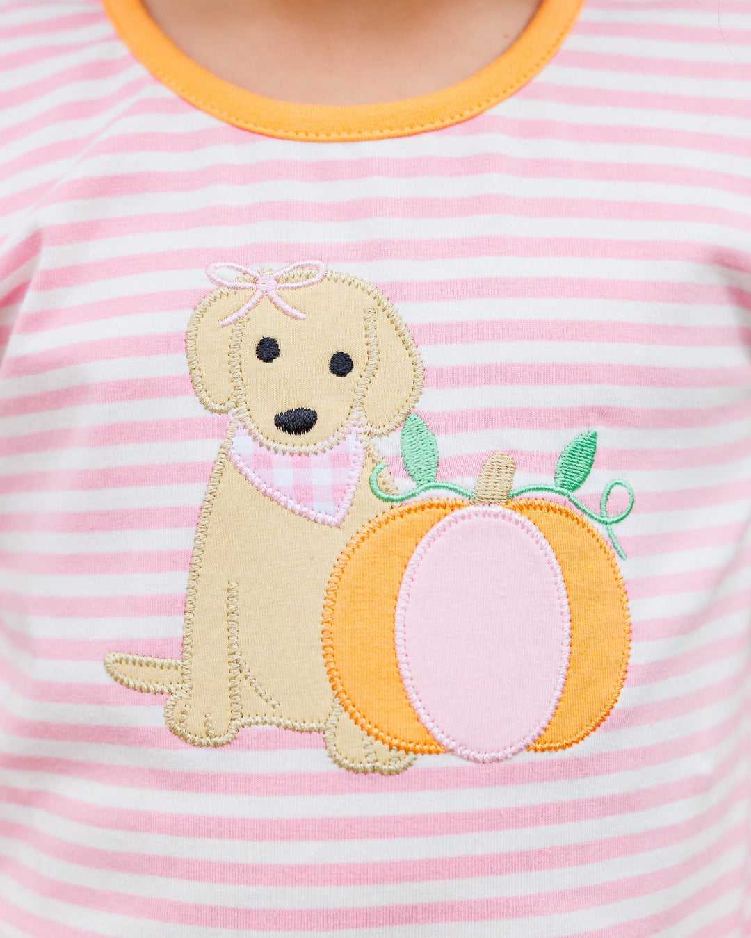 Pumpkins and Paws Bloomer Set
