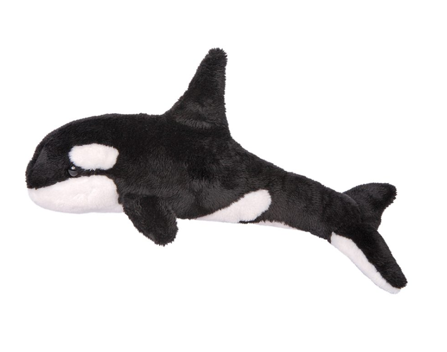 Spout Orca Whale