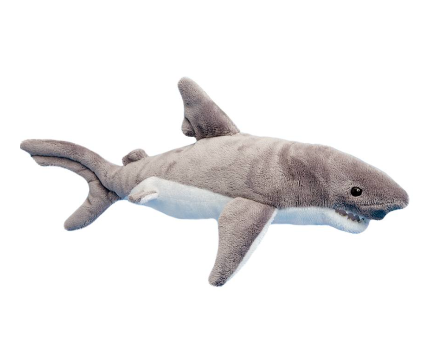 Smiley Shark
