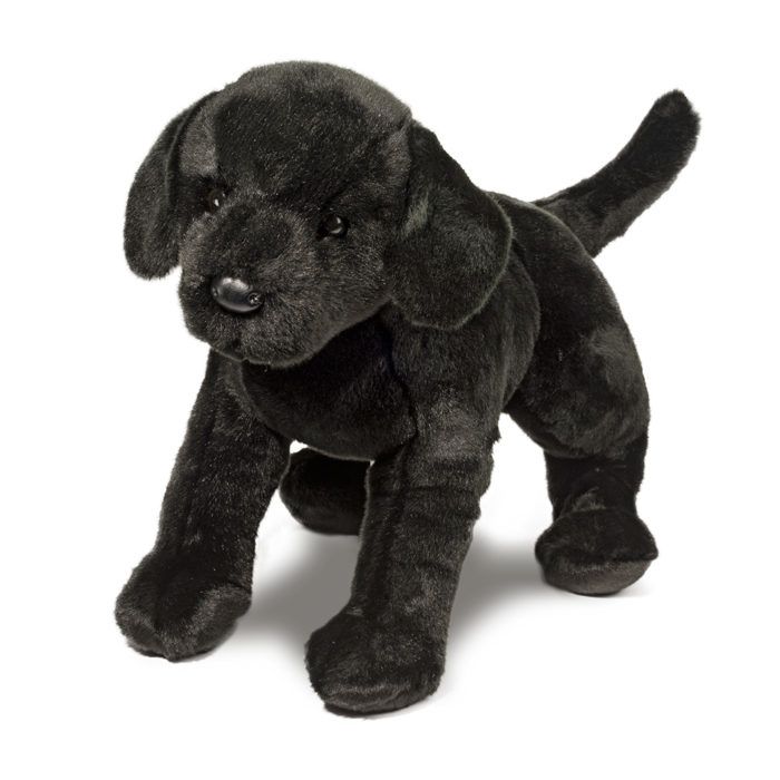 Douglas Co Inc -James Black Lab